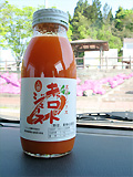 大積PA01