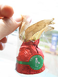 生ほうずきのチョコ