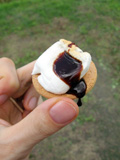 BBQ12